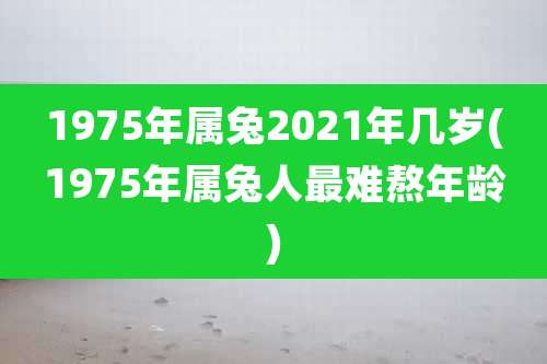 1975年属兔2021年几岁(1975年属兔人最难熬年龄)