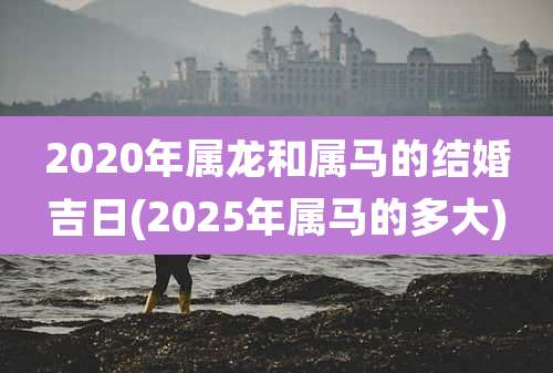 2020年属龙和属马的结婚吉日(2025年属马的多大)