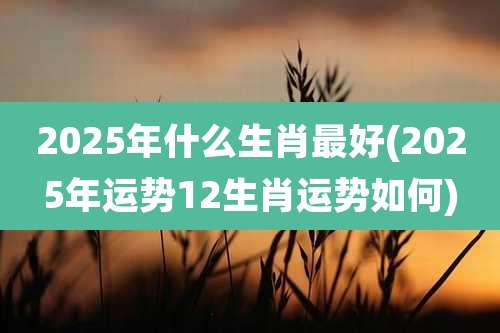 2025年什么生肖最好(2025年运势12生肖运势如何)