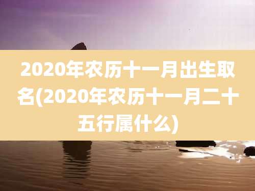 2020年农历十一月出生取名(2020年农历十一月二十五行属什么)
