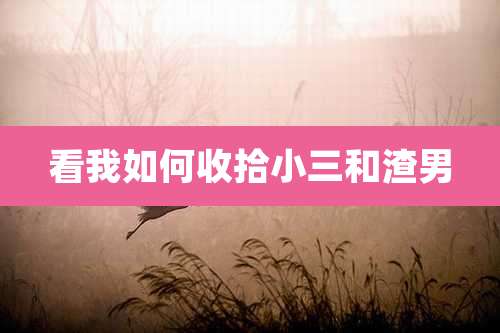 看我如何收拾小三和渣男