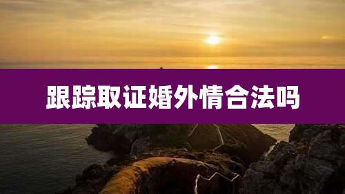 跟踪取证婚外情合法吗