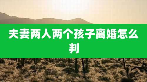 夫妻两人两个孩子离婚怎么判