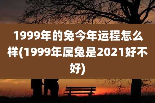 1999年的兔今年运程怎么样(1999年属兔是2021好不好)