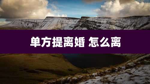 单方提离婚 怎么离