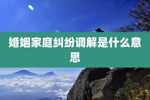 婚姻家庭纠纷调解是什么意思