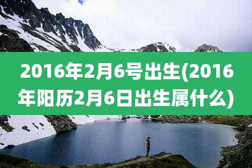 2016年2月6号出生(2016年阳历2月6日出生属什么)