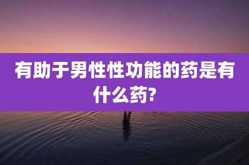 有助于男性性功能的药是有什么药?