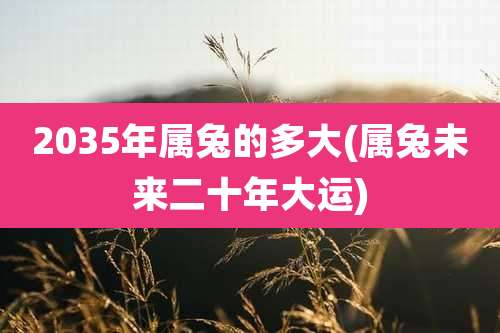 2035年属兔的多大(属兔未来二十年大运)