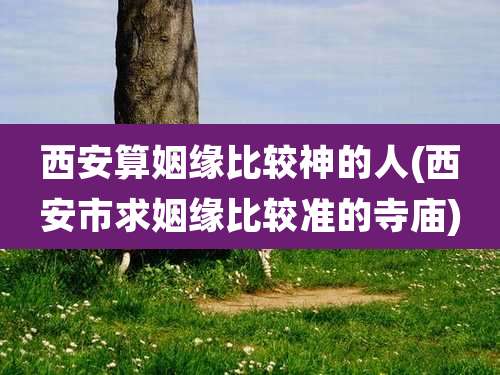 西安算姻缘比较神的人(西安市求姻缘比较准的寺庙)