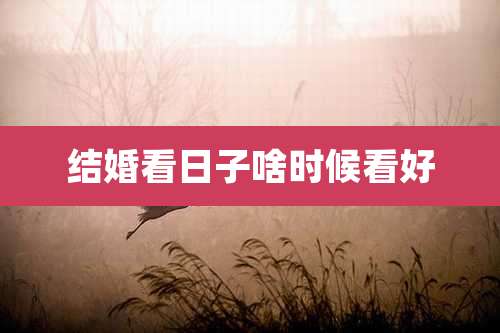 结婚看日子啥时候看好
