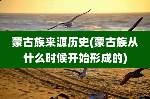 蒙古族来源历史(蒙古族从什么时候开始形成的)