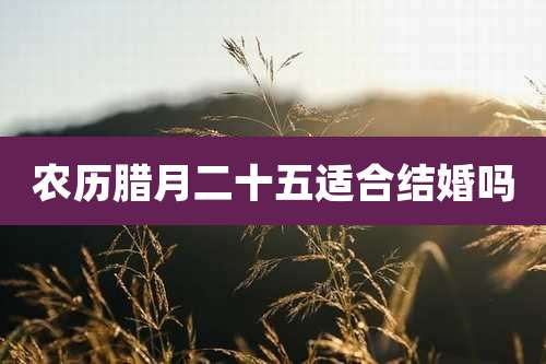 农历腊月二十五适合结婚吗