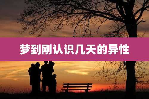 梦到刚认识几天的异性