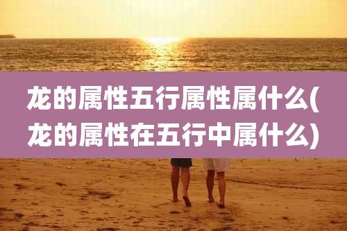 龙的属性五行属性属什么(龙的属性在五行中属什么)