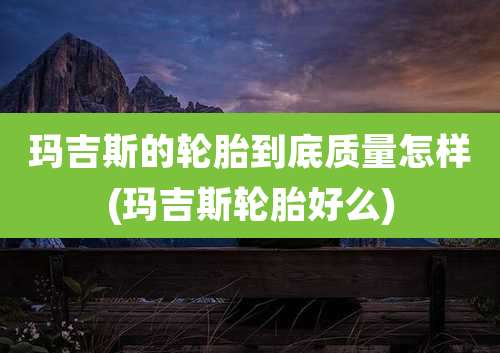 玛吉斯的轮胎到底质量怎样(玛吉斯轮胎好么)