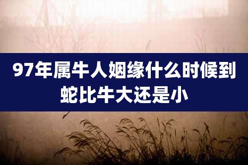 97年属牛人姻缘什么时候到蛇比牛大还是小