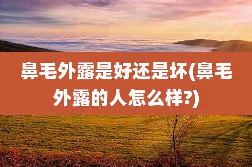 鼻毛外露是好还是坏(鼻毛外露的人怎么样?)