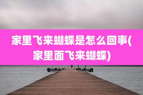 家里飞来蝴蝶是怎么回事(家里面飞来蝴蝶)