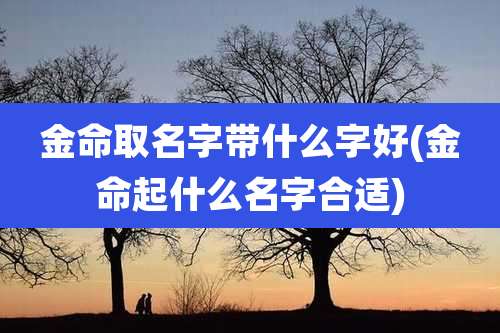 金命取名字带什么字好(金命起什么名字合适)