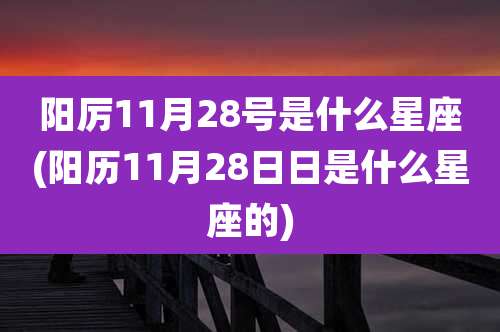 阳厉11月28号是什么星座(阳历11月28日日是什么星座的)