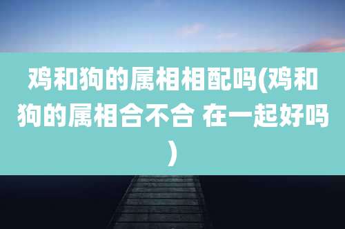 鸡和狗的属相相配吗(鸡和狗的属相合不合 在一起好吗)