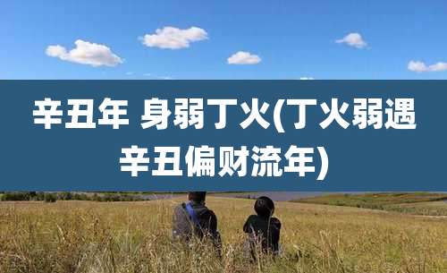 辛丑年 身弱丁火(丁火弱遇辛丑偏财流年)