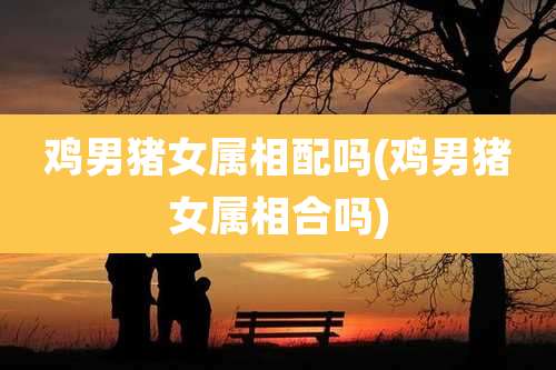 鸡男猪女属相配吗(鸡男猪女属相合吗)