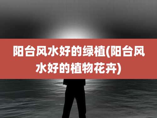 阳台风水好的绿植(阳台风水好的植物花卉)