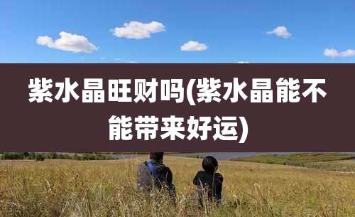 紫水晶旺财吗(紫水晶能不能带来好运)