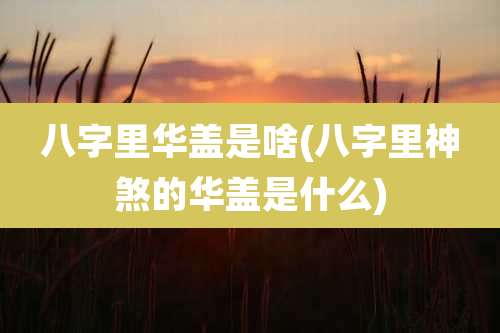 八字里华盖是啥(八字里神煞的华盖是什么)