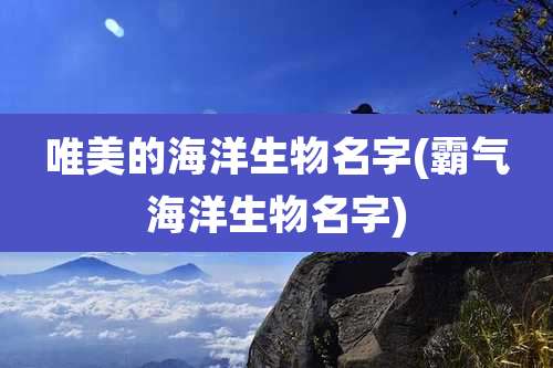 唯美的海洋生物名字(霸气海洋生物名字)