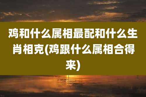 鸡和什么属相最配和什么生肖相克(鸡跟什么属相合得来)