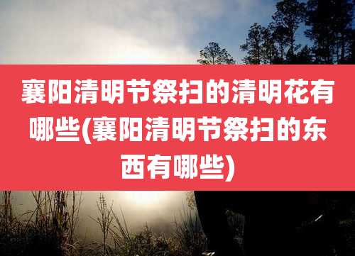 襄阳清明节祭扫的清明花有哪些(襄阳清明节祭扫的东西有哪些)