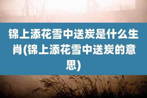 锦上添花雪中送炭是什么生肖(锦上添花雪中送炭的意思)