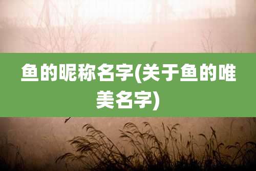 鱼的昵称名字(关于鱼的唯美名字)