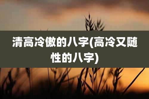 清高冷傲的八字(高冷又随性的八字)
