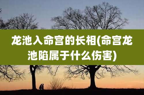 龙池入命宫的长相(命宫龙池陷属于什么伤害)
