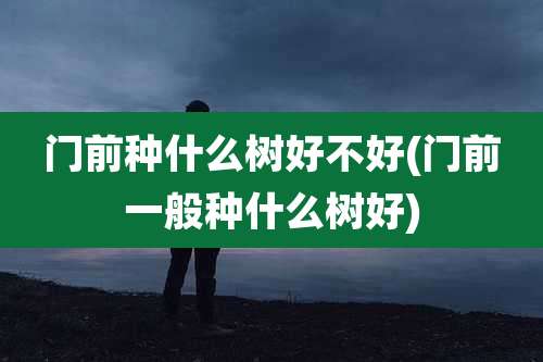门前种什么树好不好(门前一般种什么树好)