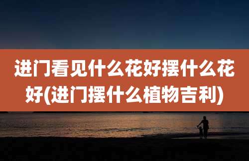 进门看见什么花好摆什么花好(进门摆什么植物吉利)