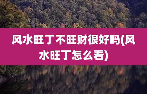 风水旺丁不旺财很好吗(风水旺丁怎么看)