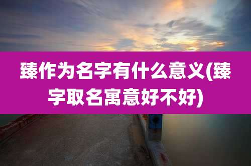 臻作为名字有什么意义(臻字取名寓意好不好)