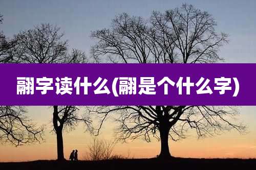 翮字读什么(翮是个什么字)