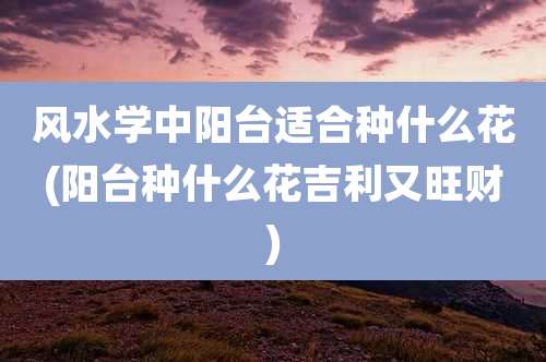 风水学中阳台适合种什么花(阳台种什么花吉利又旺财)