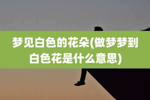 梦见白色的花朵(做梦梦到白色花是什么意思)