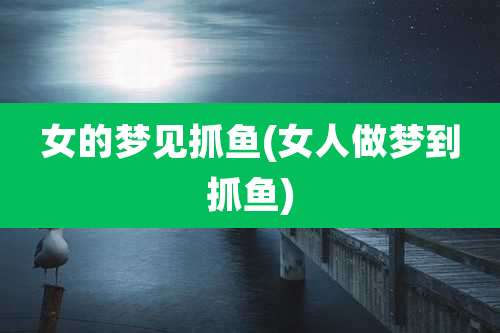 女的梦见抓鱼(女人做梦到抓鱼)