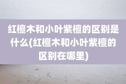 红檀木和小叶紫檀的区别是什么(红檀木和小叶紫檀的区别在哪里)