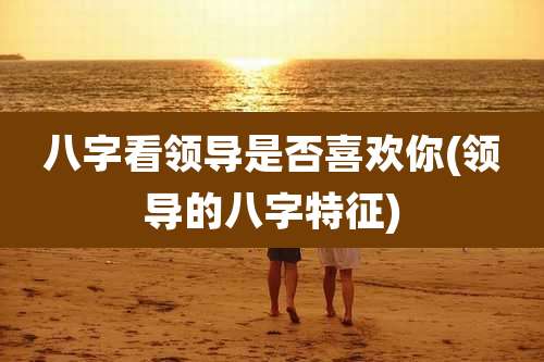 八字看领导是否喜欢你(领导的八字特征)