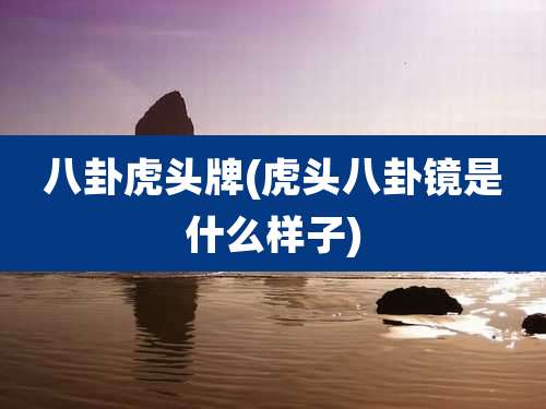八卦虎头牌(虎头八卦镜是什么样子)