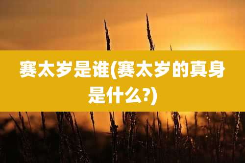 赛太岁是谁(赛太岁的真身是什么?)